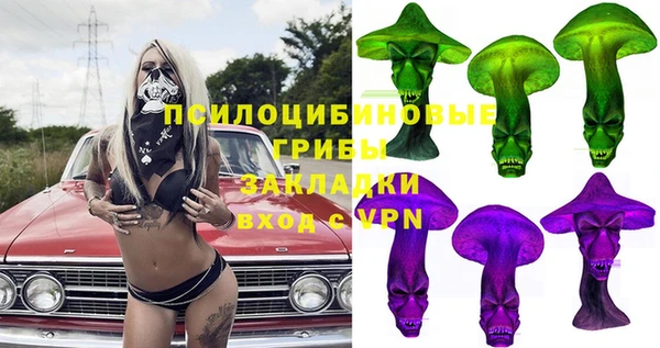 соль ск Алексин