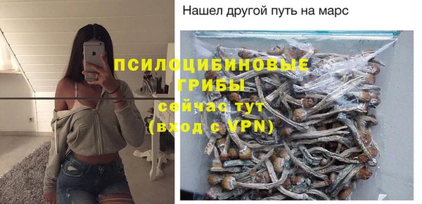 соль ск Алексин