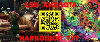 крисы Партизанск