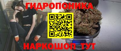 гидра Пенза