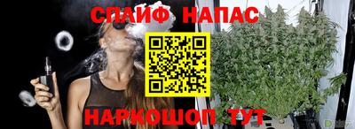 крисы Партизанск