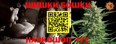 крисы Партизанск