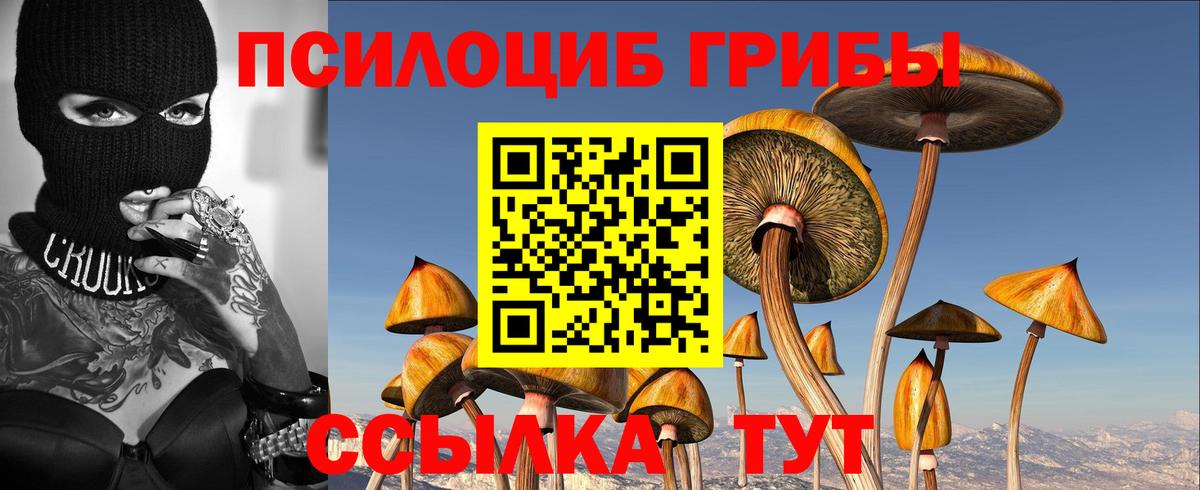 Галлюциногенные грибы мицелий Кондопога