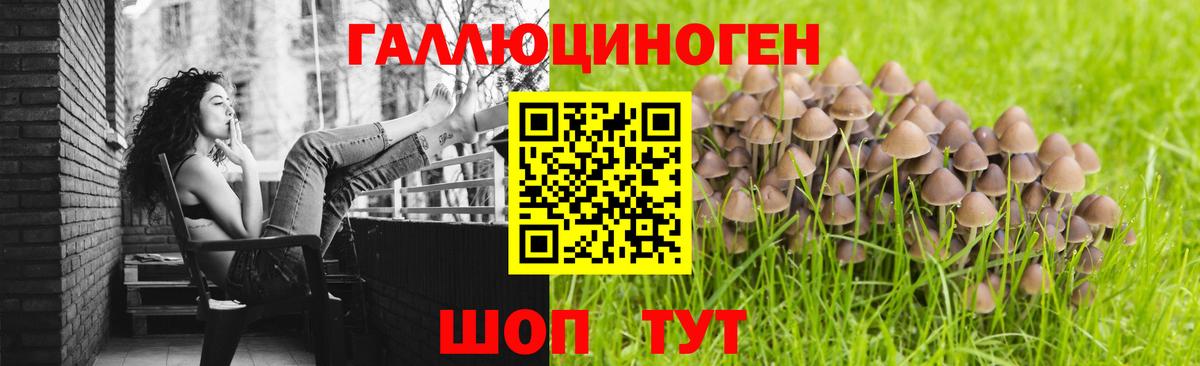 Галлюциногенные грибы ЛСД  цена наркотик  Галлюциногенные грибы мухоморы  Кондопога  Вход с VPN 
