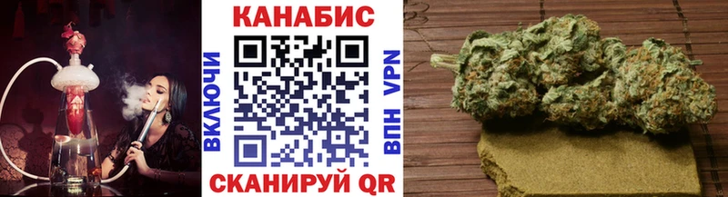 закладки  Кондопога  Каннабис индика 